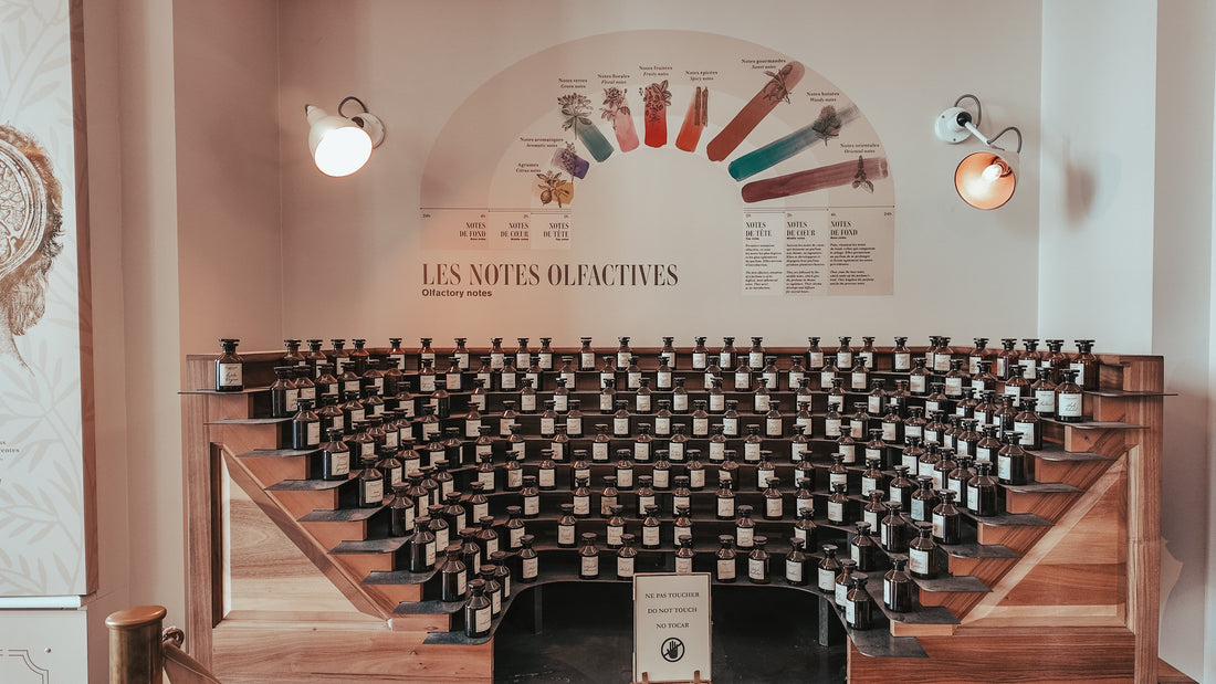 My Journey with Scents and Perfumery