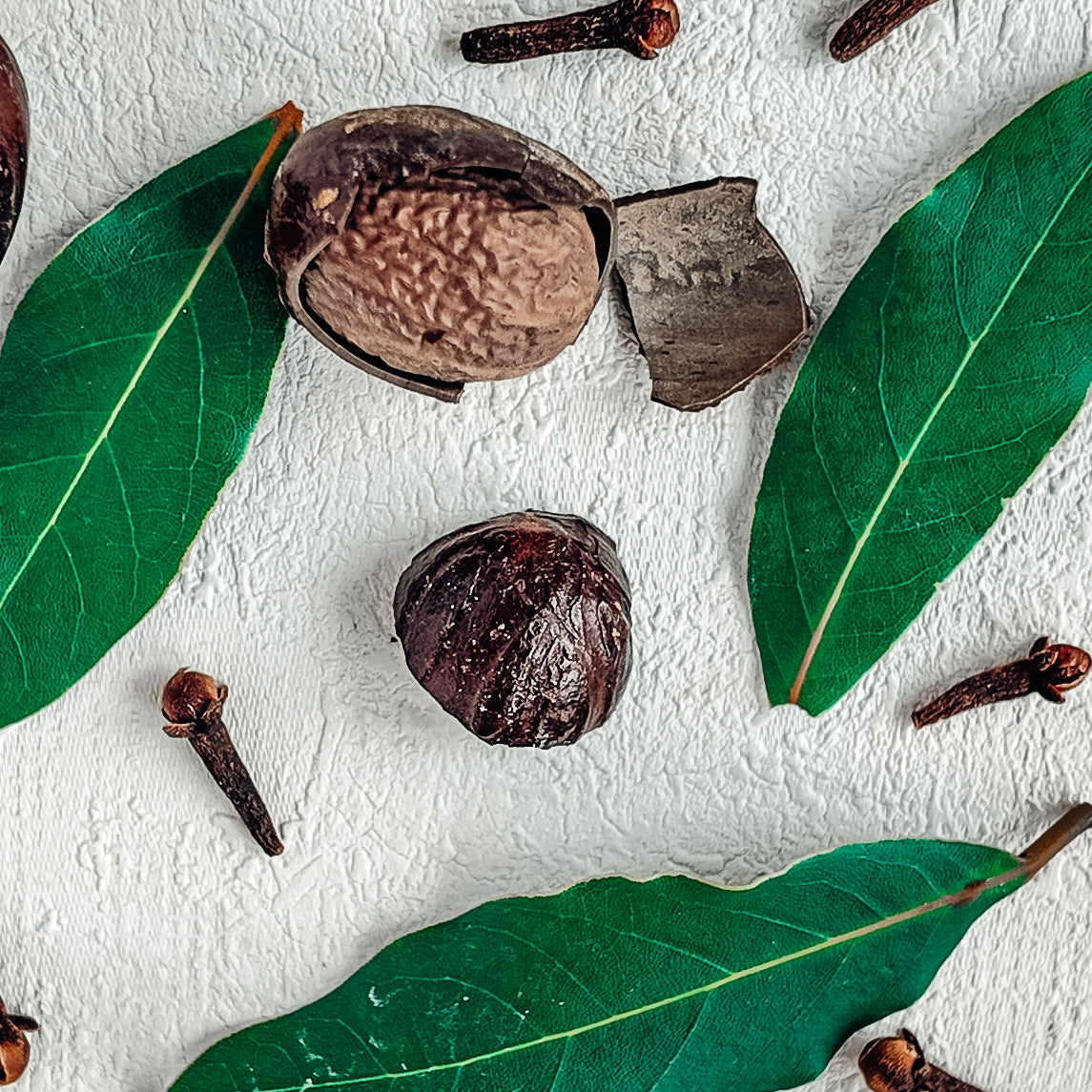 🌴 Raw Cocoa — Bayleaf, Nutmeg & Clove